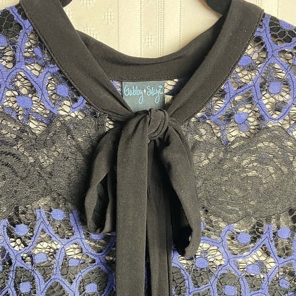 Gabby Skye Dress Size 4 Lace A-Line Long Sleeve‎ Lined Purple/Black Pullover - Picture 4 of 15